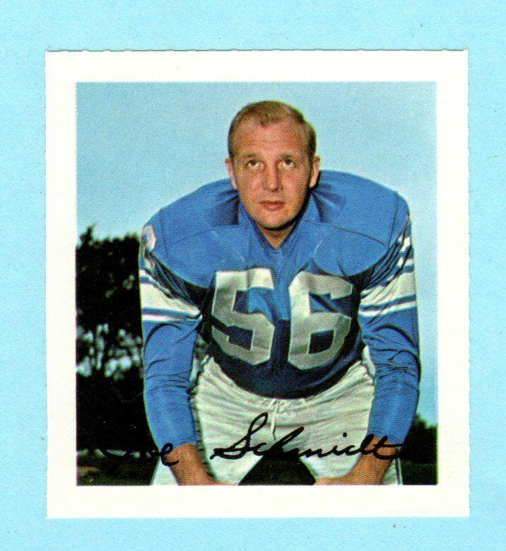 Joe Schmidt