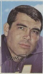 Joe Kapp