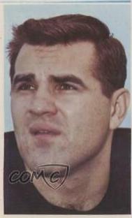 Lou Michaels
