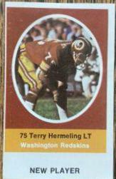 Terry Hermeling