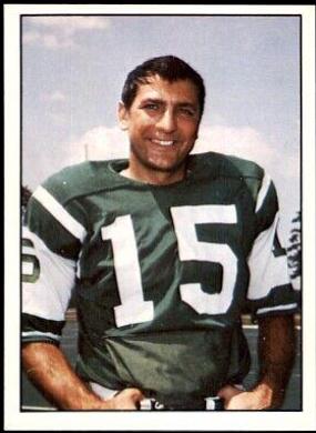 Babe Parilli #42