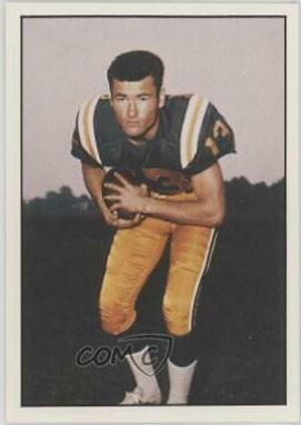 Don Maynard #49