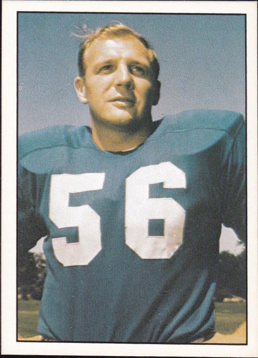 Joe Schmidt #28