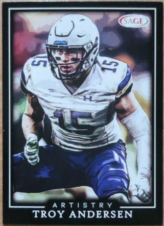 Troy anderson #29