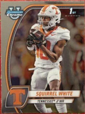 Squirrel White #166
