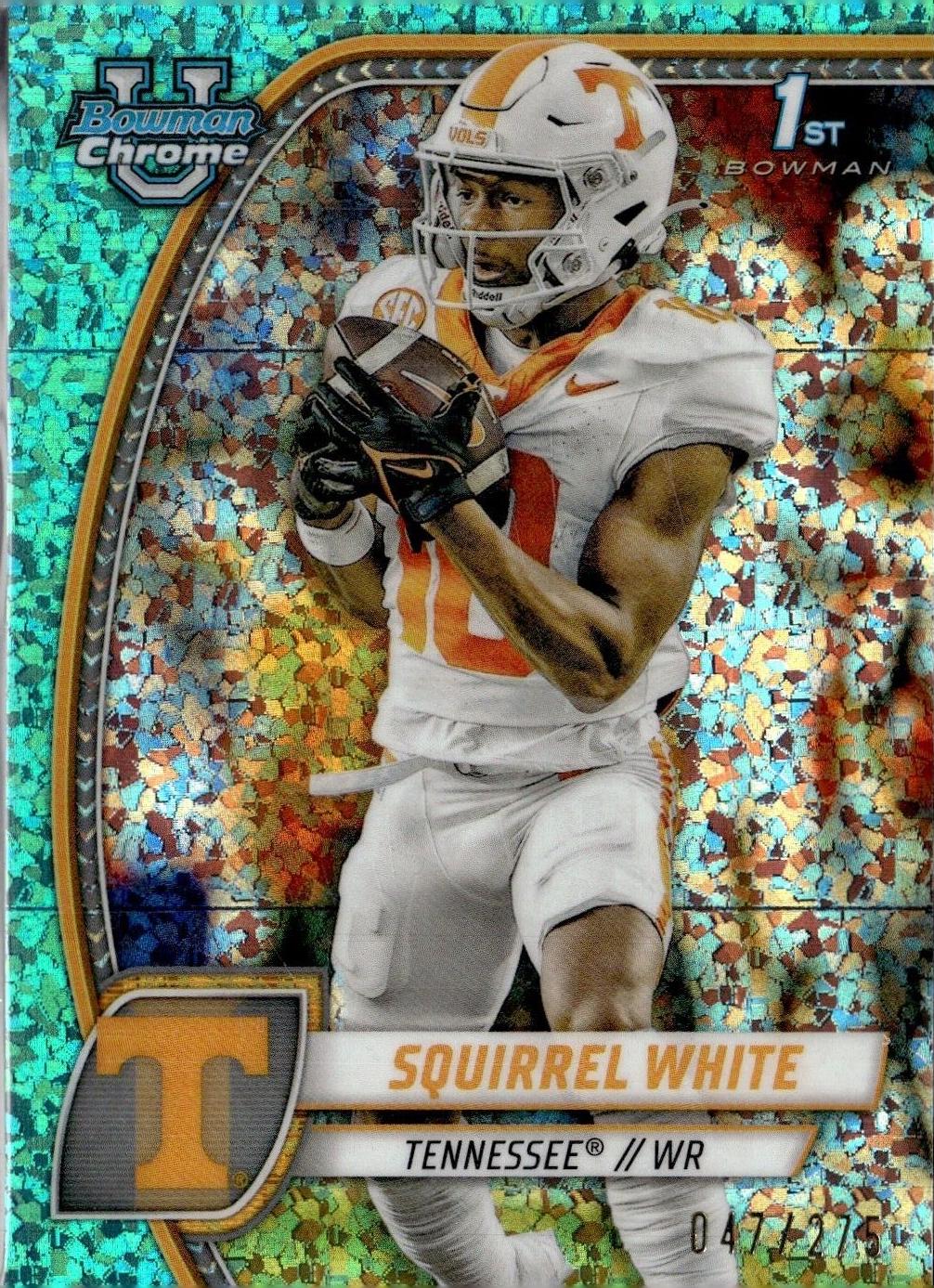 Squirrel White [Aqua Mini Diamond Refractor] #166