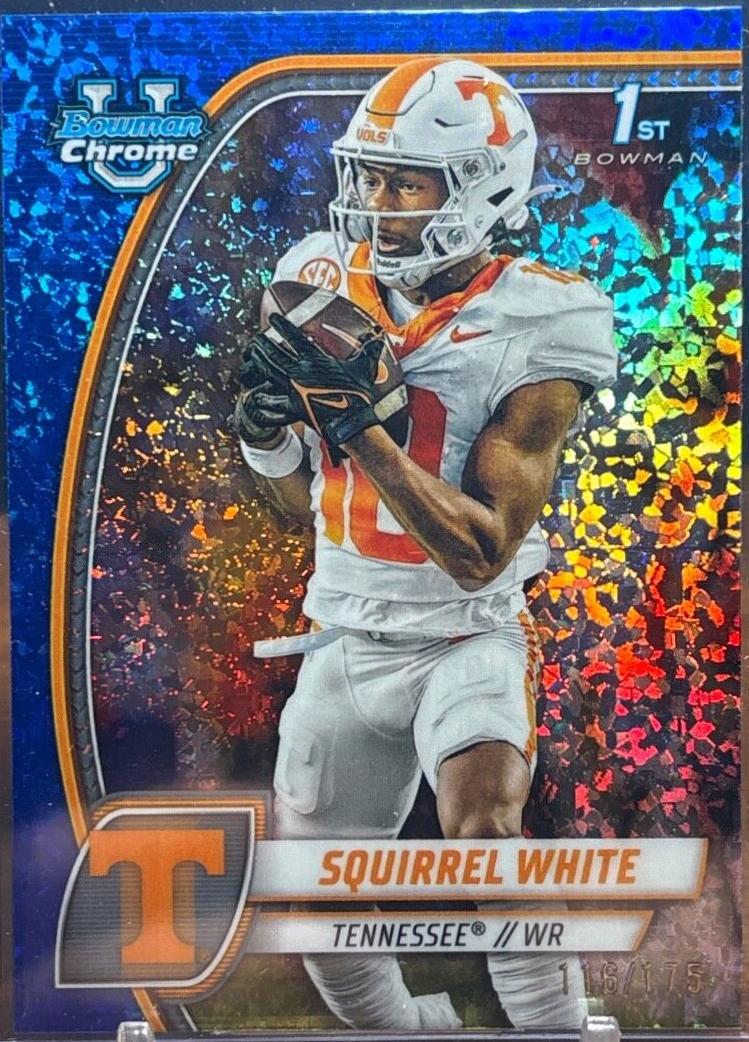 Squirrel White [Blue Mini Diamond Refractor] #166