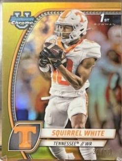 Squirrel White [Gold Refractor] #166