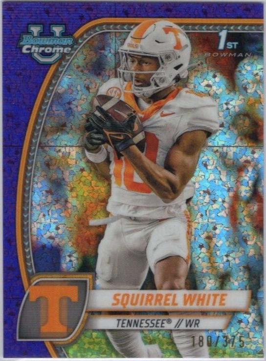 Squirrel White [Purple Mini Diamond Refractor] #166