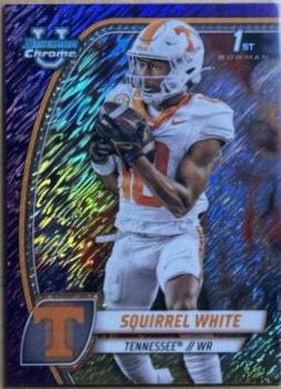 Squirrel White [Shimmer Purple Refractor] #166