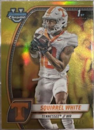 Squirrel White [Yellow Refractor] #166