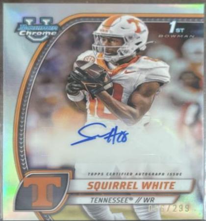 Squirrel White [Refractor] #PA-SWH