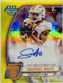 Squirrel White [Yellow Refractor] #PA-SWH