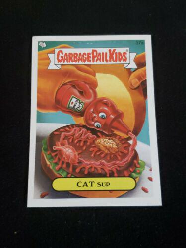 CAT Sup #37a