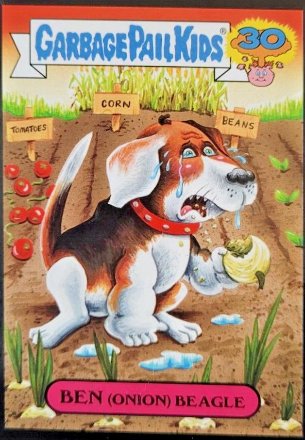 BEN (Onion) Beagle [Black] #3a