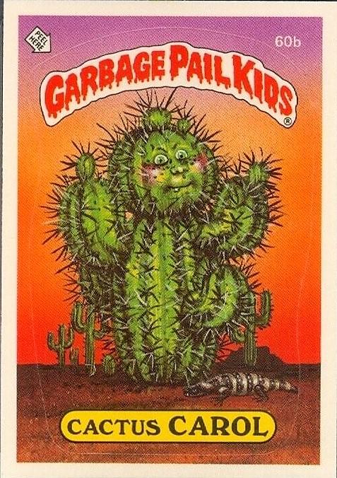Cactus CAROL [Glossy] #60b