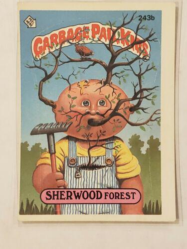 Sherwood FOREST #243b