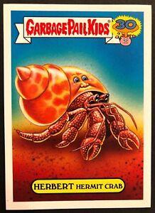 HERBERT Hermit Crab #6a