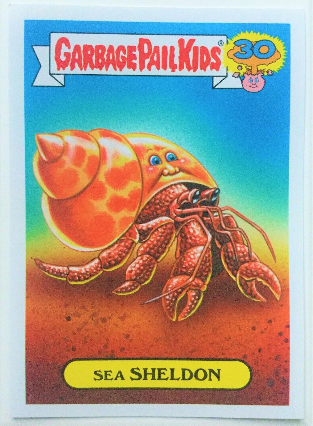 Sea SHELDON #6b