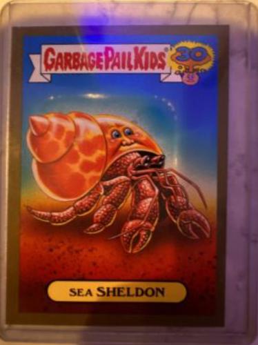 Sea SHELDON [Gold] #6b