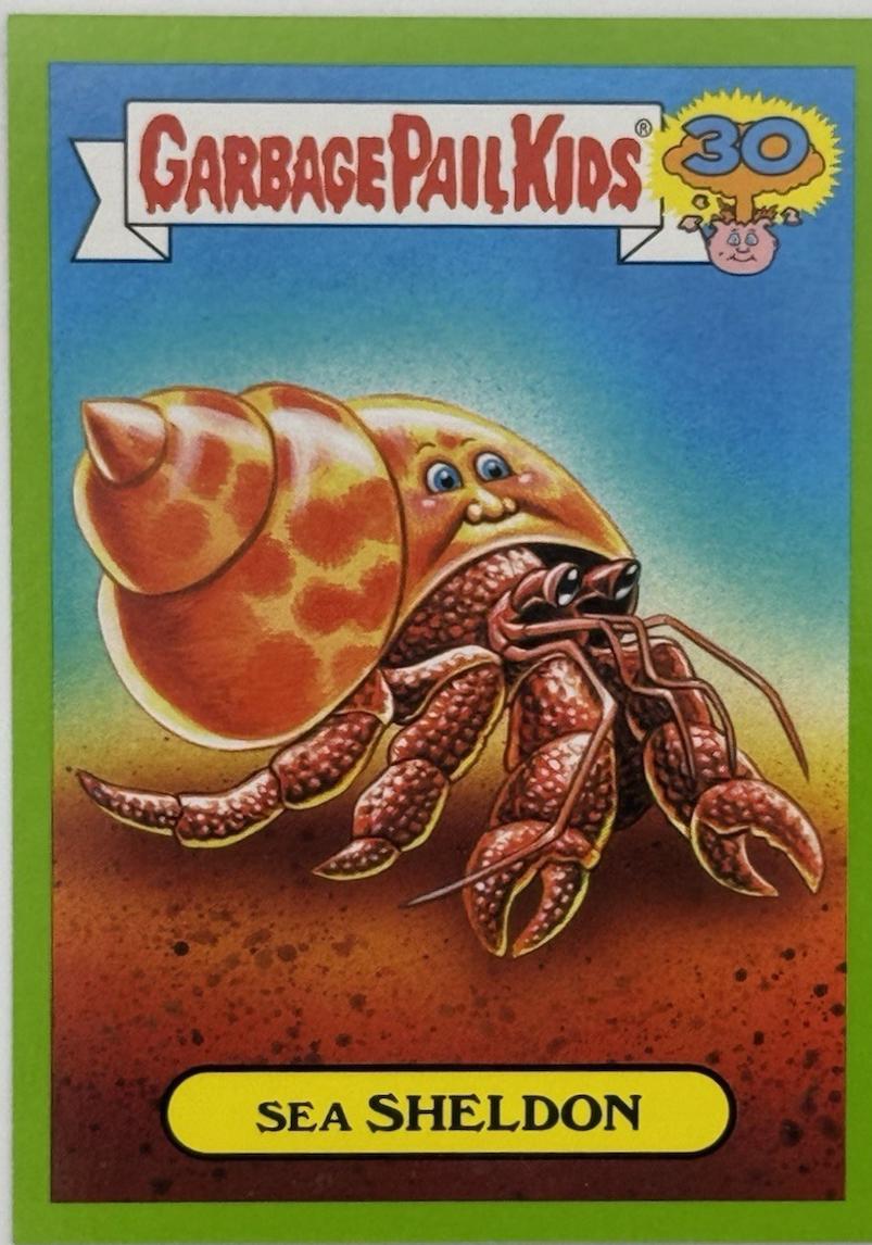 Sea SHELDON [Green] #6b