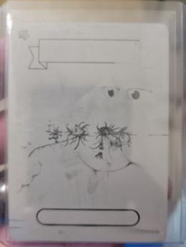 Snotty LOTTIE [Printing Plate] #225b