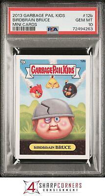 Birdbrain BRUCE #12b