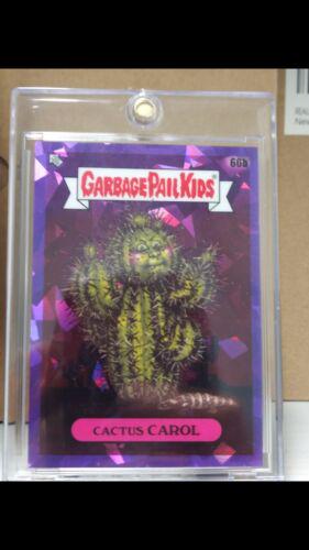 Cactus CAROL [Purple] #60b