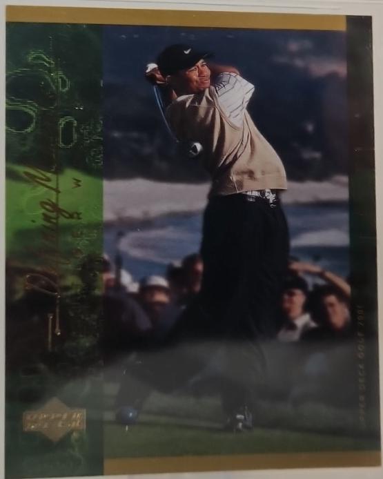 Tiger Woods #124