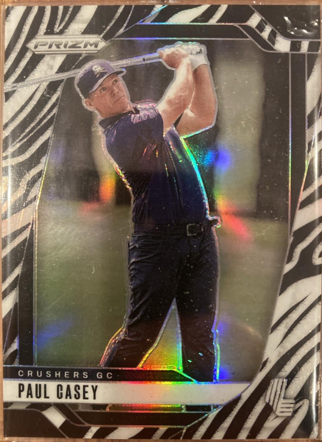 Paul Casey [Zebra] #24