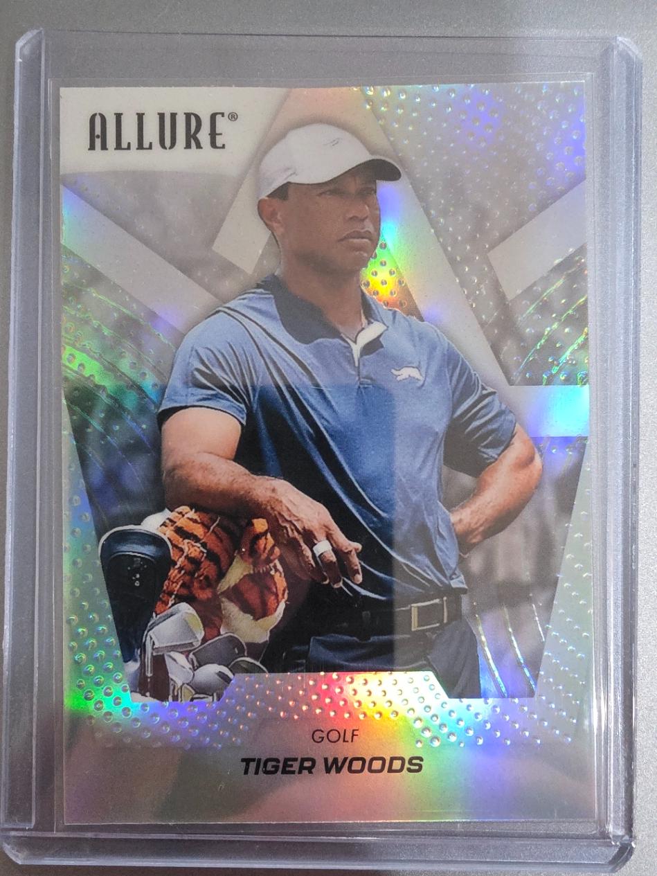 Tiger Woods #2