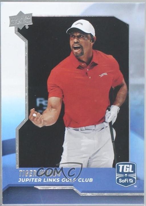 Tiger Woods #1