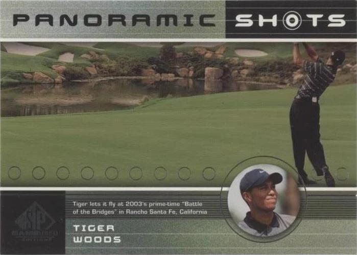 Tiger Woods #46