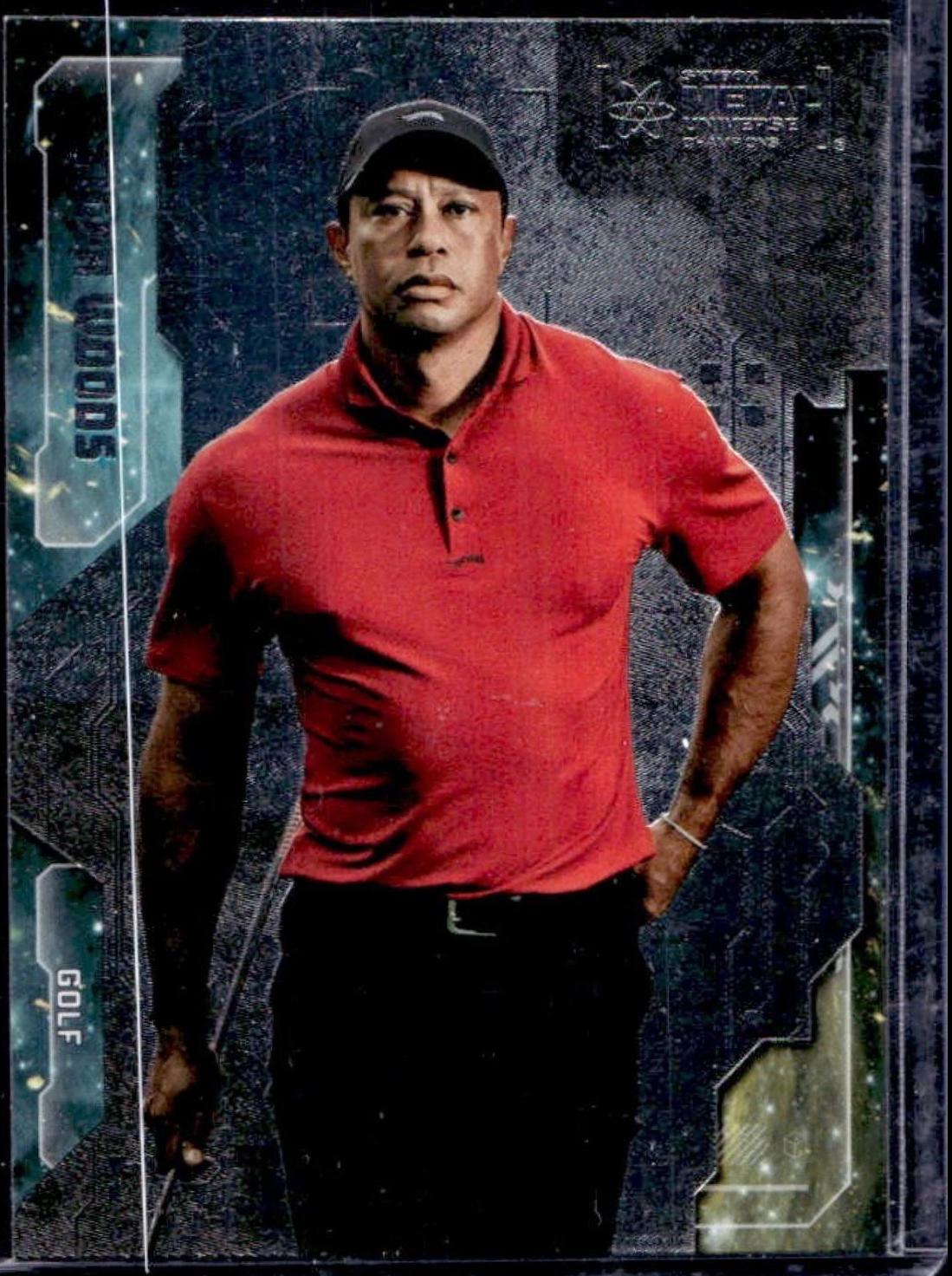 Tiger Woods #2