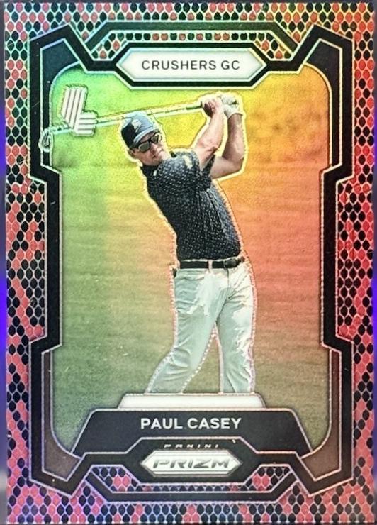 Paul Casey [Snakeskin] #44