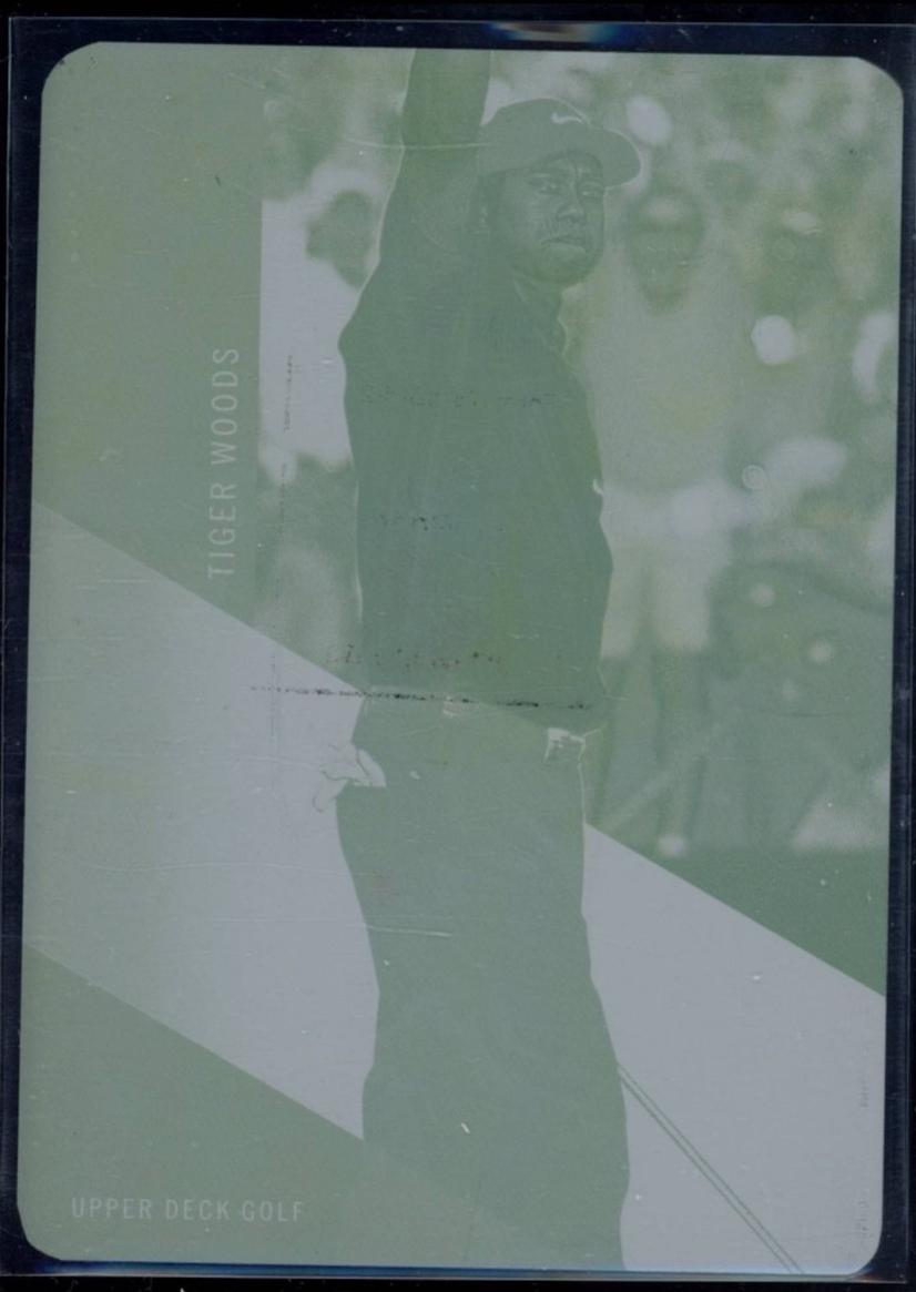 Tiger Woods [Printing Plate] #DM-2