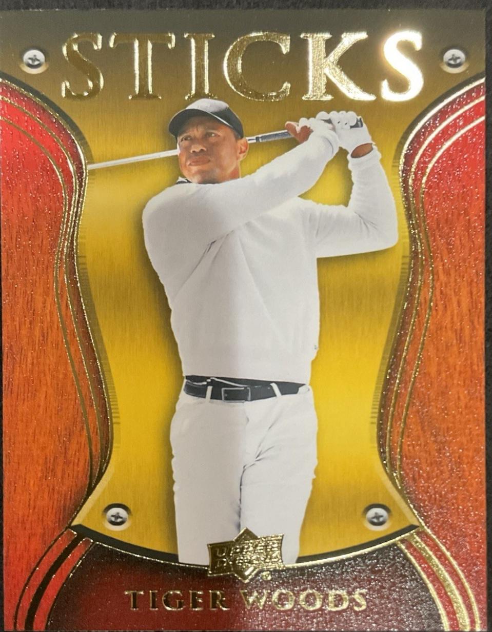 Tiger Woods #1