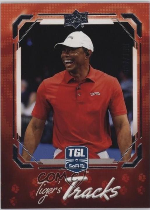 Tiger Woods #TT-3