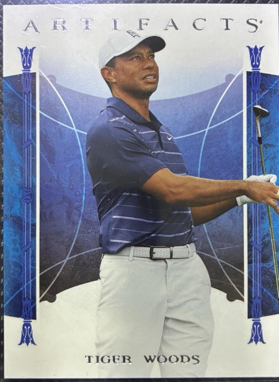 Tiger Woods #2