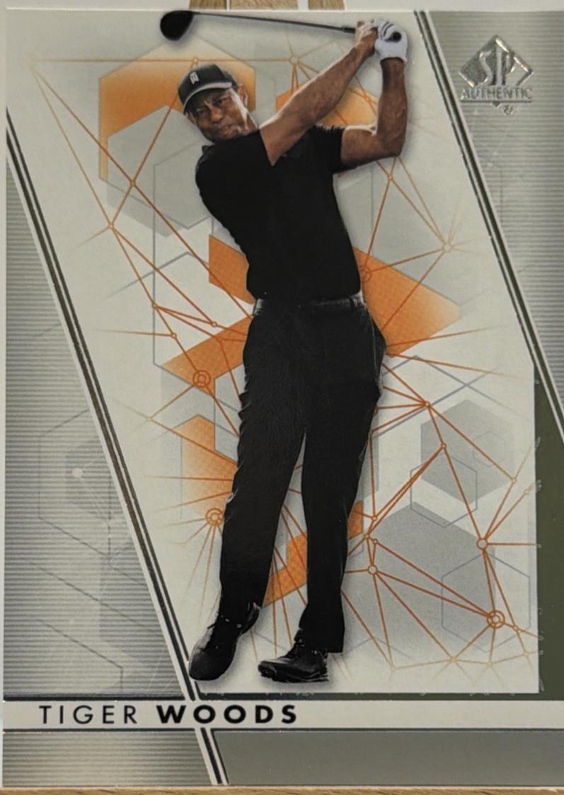 Tiger Woods #1