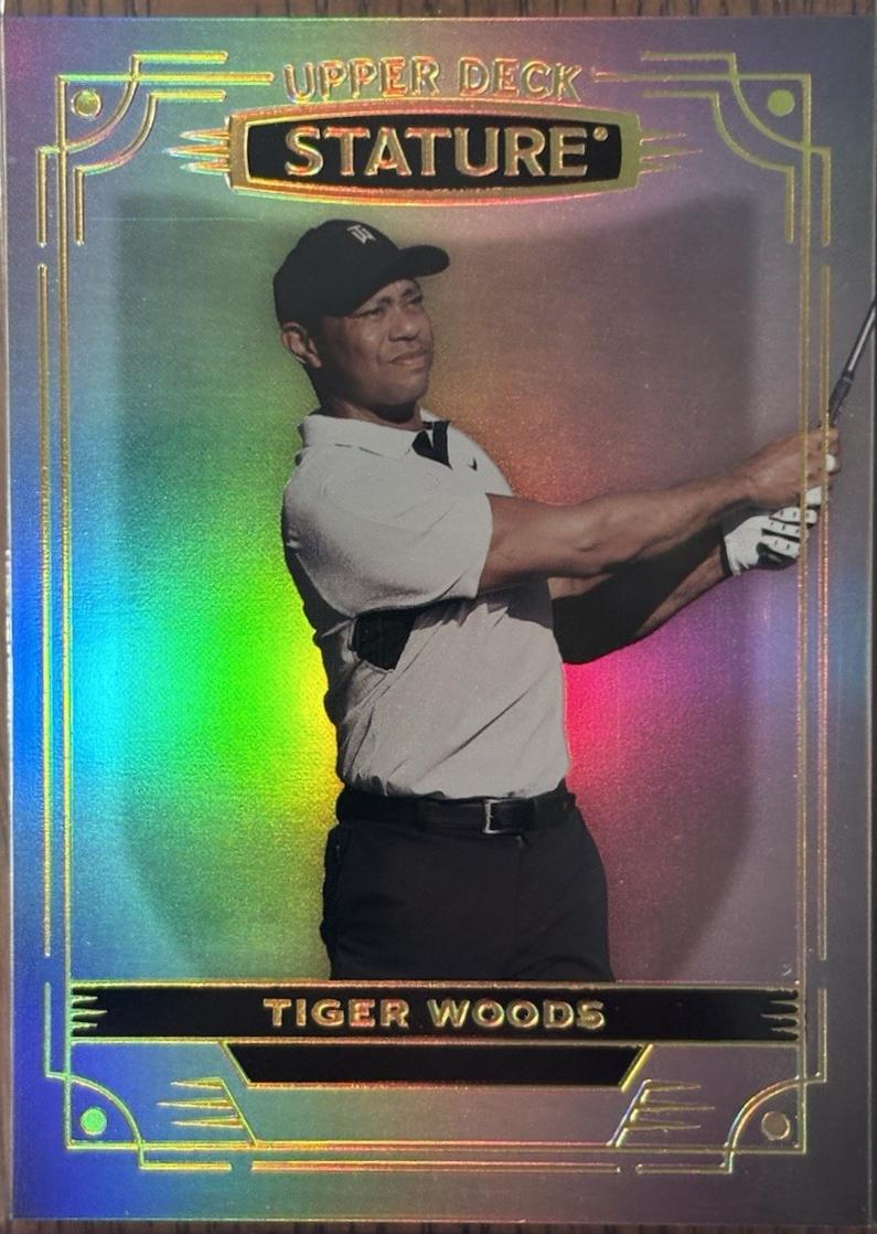 Tiger Woods #1