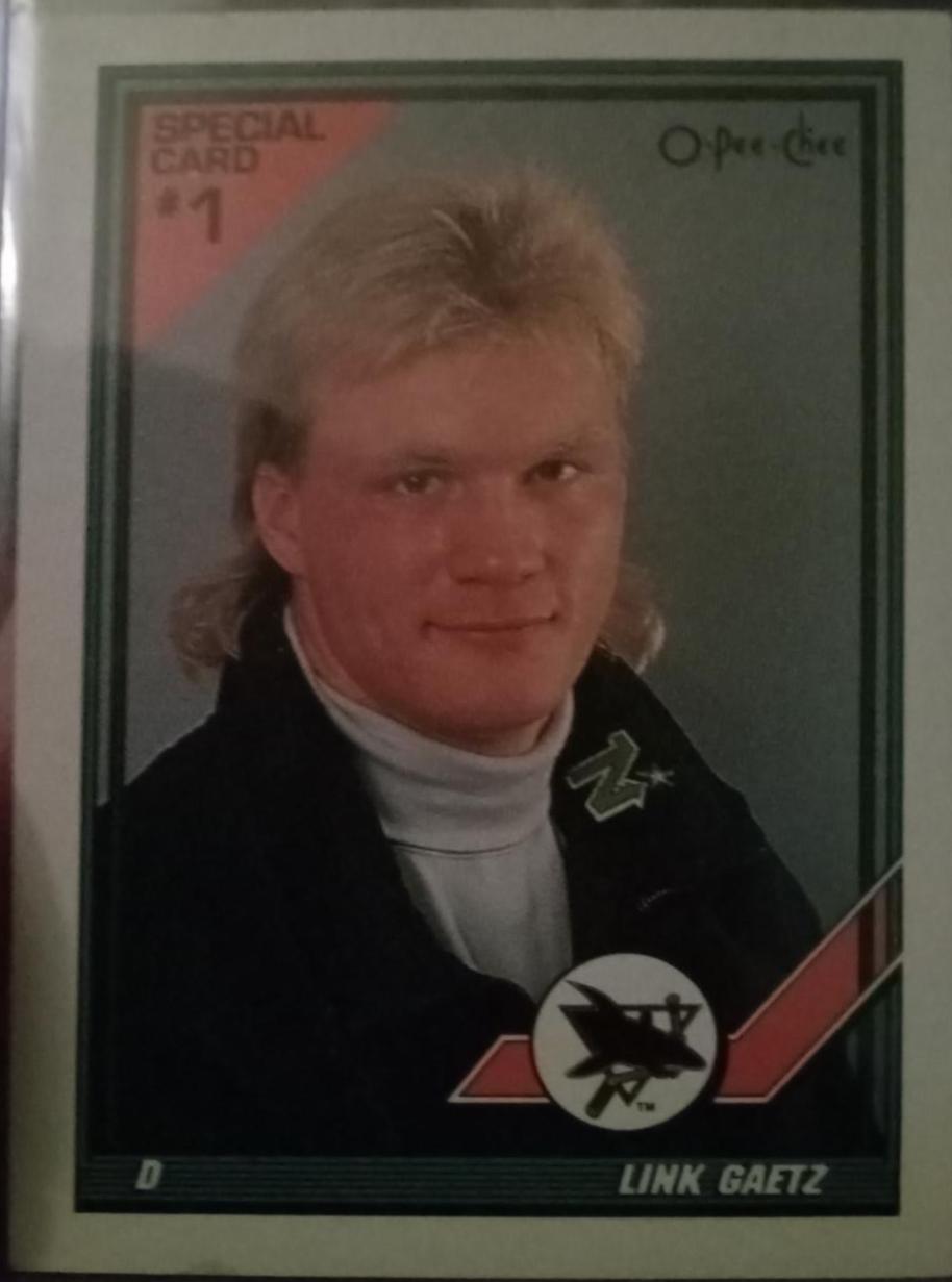 Link Gaetz #1S