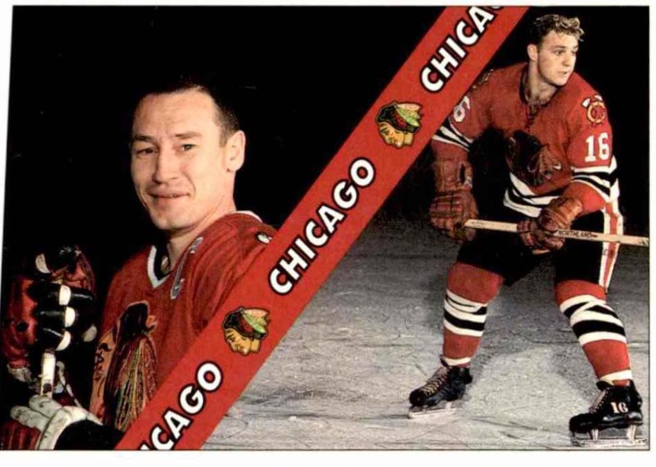 Chicago Blackhawks Checklist #5
