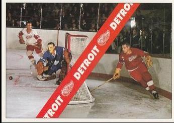 Detroit Red Wings [Checklist] #6
