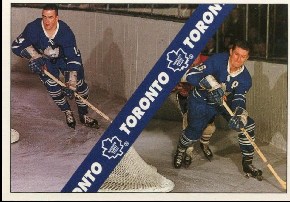 Toronto Maple Leafs Checklist #3