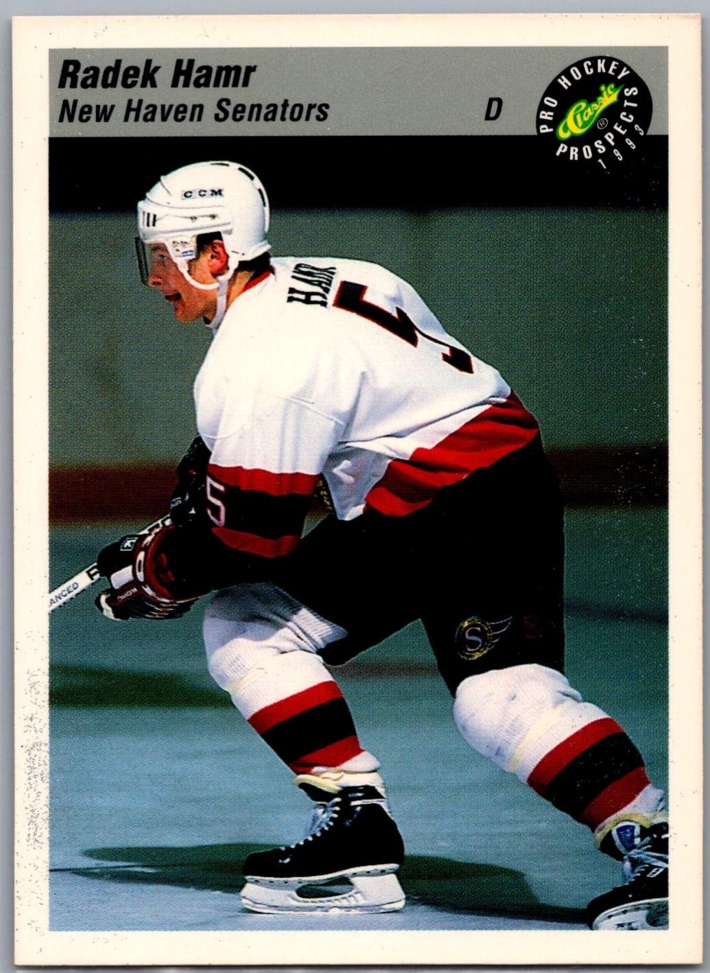 Radek Hamr #142