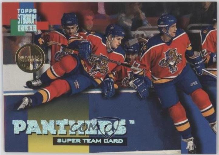 Florida Panthers #9