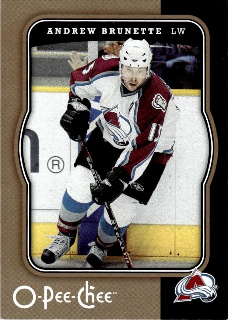 Andrew Brunette #119