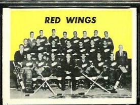 Detroit Red Wings #125