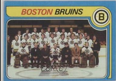 Bruins Team #245